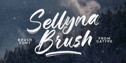 Sellyna Brush Font Poster 1