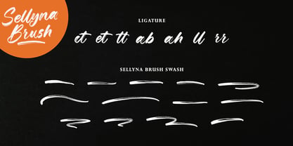 Sellyna Brush Font Poster 7