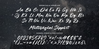Sellyna Brush Font Poster 6