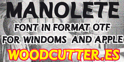 Manolete Font Poster 5