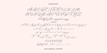 Meilia Beauty Font Poster 6