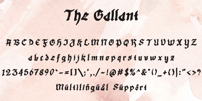 The Gallant Font Poster 5
