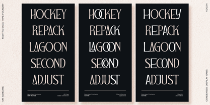 MN Ashgate Font Poster 11