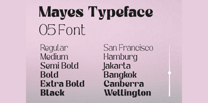 Mayes Font Poster 6