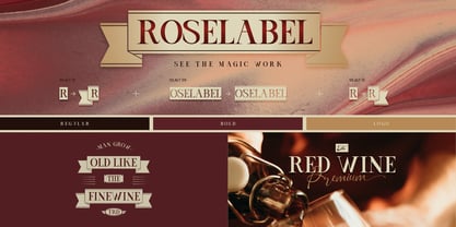 Elegant ribbon Font Poster 4