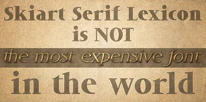 DT Skiart Lexiconic Font Poster 2