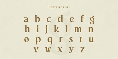 Rofage Font Poster 13