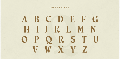 Rofage Font Poster 12