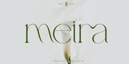 Meira Police Affiche 1