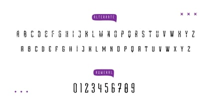 Zanky Font Poster 11