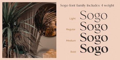 Sogo Font Poster 3