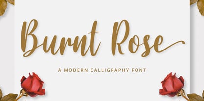 Burnt Rose Font Poster 1