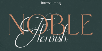 Noble Flourish Font Poster 1