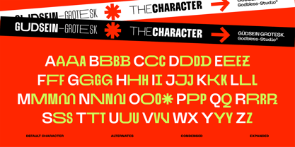 Gudsein Grotesk Font Poster 4