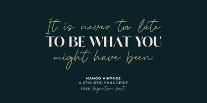 Mango Vintage Font Poster 7