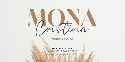 Mango Vintage Font Poster 5