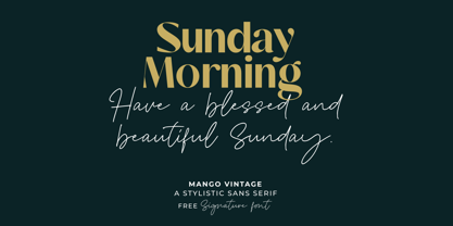 Mango Vintage Font Poster 12