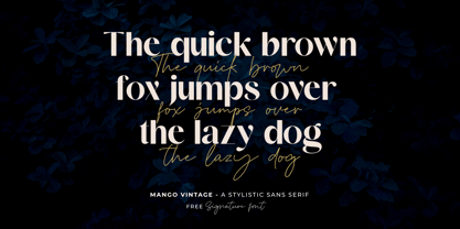 Mango Vintage Font Poster 3