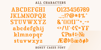 Honey Cages Font Poster 8