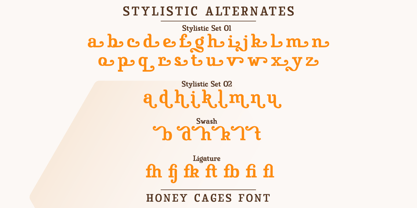 Honey Cages Font Poster 10