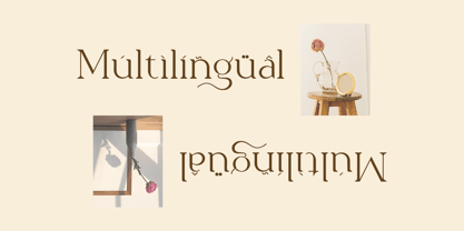 Spotless Font Poster 10