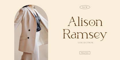 Spotless Font Poster 2