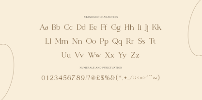 Spotless Font Poster 9