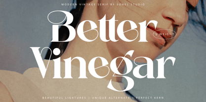 Better Vinegar Font Poster 1