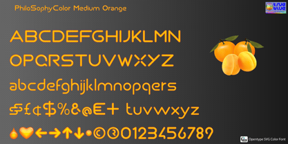 Philo Sophy Color Font Poster 14