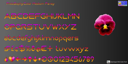 Philo Sophy Color Font Poster 8