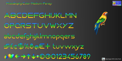 Philo Sophy Color Font Poster 7