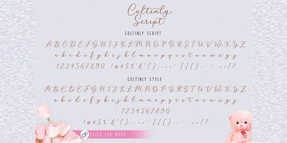 Coltinly Script Font Poster 7