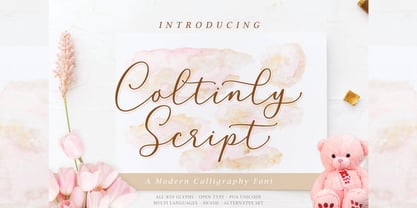 Coltinly Script Font Poster 1