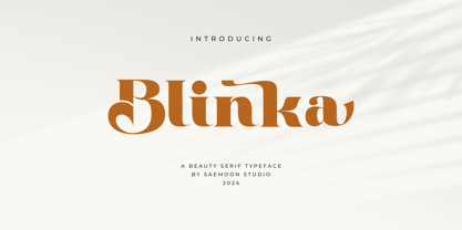 Blinka Font Poster 1