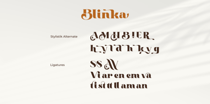 Blinka Font Poster 2