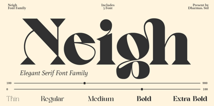 Neigh Font Poster 1