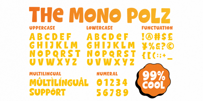 Mono Polz Font Poster 9