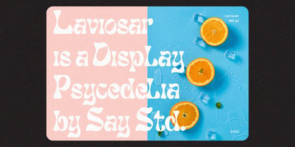 Laviosar Font Poster 2