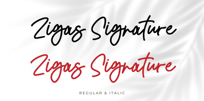 Zigas Signature Font Poster 8
