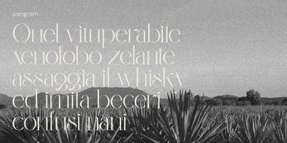 Monteilga Font Poster 10