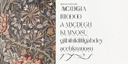 Monteilga Font Poster 2