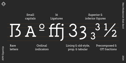 APN Ggantija Font Poster 16