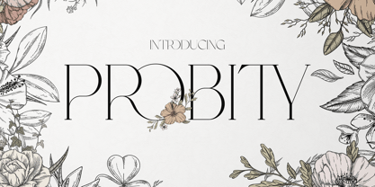 Probity Font Poster 1