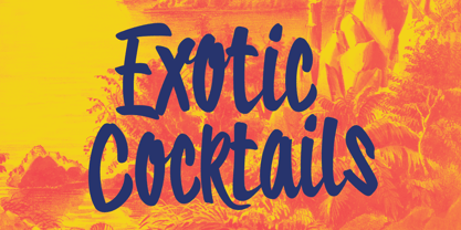 Tropical Carnival Font Poster 9