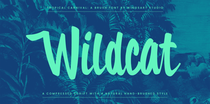 Tropical Carnival Font Poster 10
