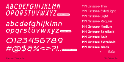 MN Grissee Pro Font Poster 5