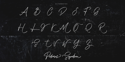 Pictures Signature Font Poster 12