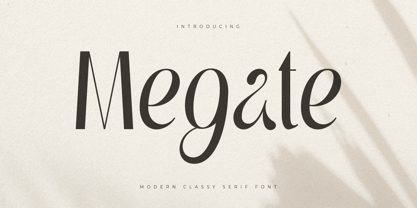 Megate Font Poster 1