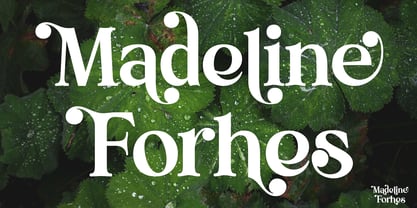 Madeline Forhes Font Poster 1