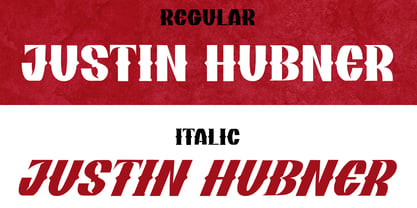 Justin Hubner Police Poster 6